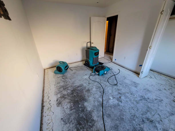 Best Water damage restoration mold remediation  in Pleasantville, NJ