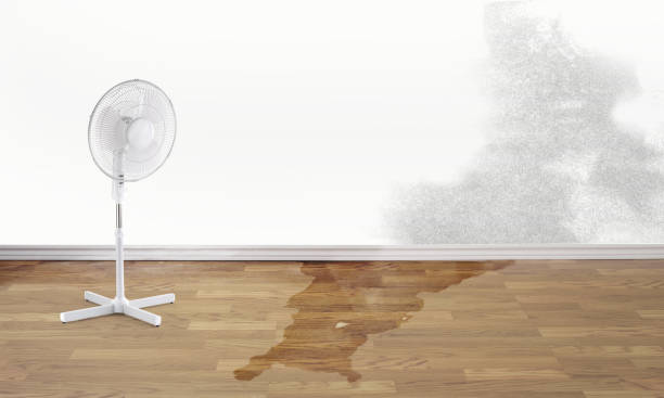 Best Water damage restoration near me  in Pleasantville, NJ