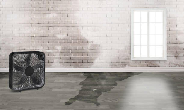 Best 24/7 water damage repair  in Pleasantville, NJ