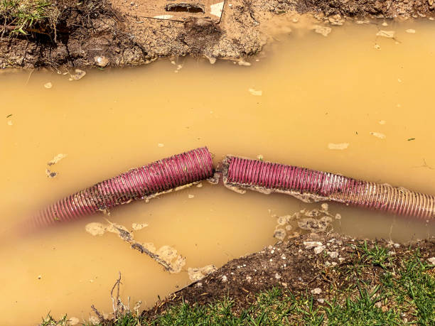 Best Flood damage cleanup  in Pleasantville, NJ